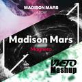 Magnatom (VKTO Mashup)