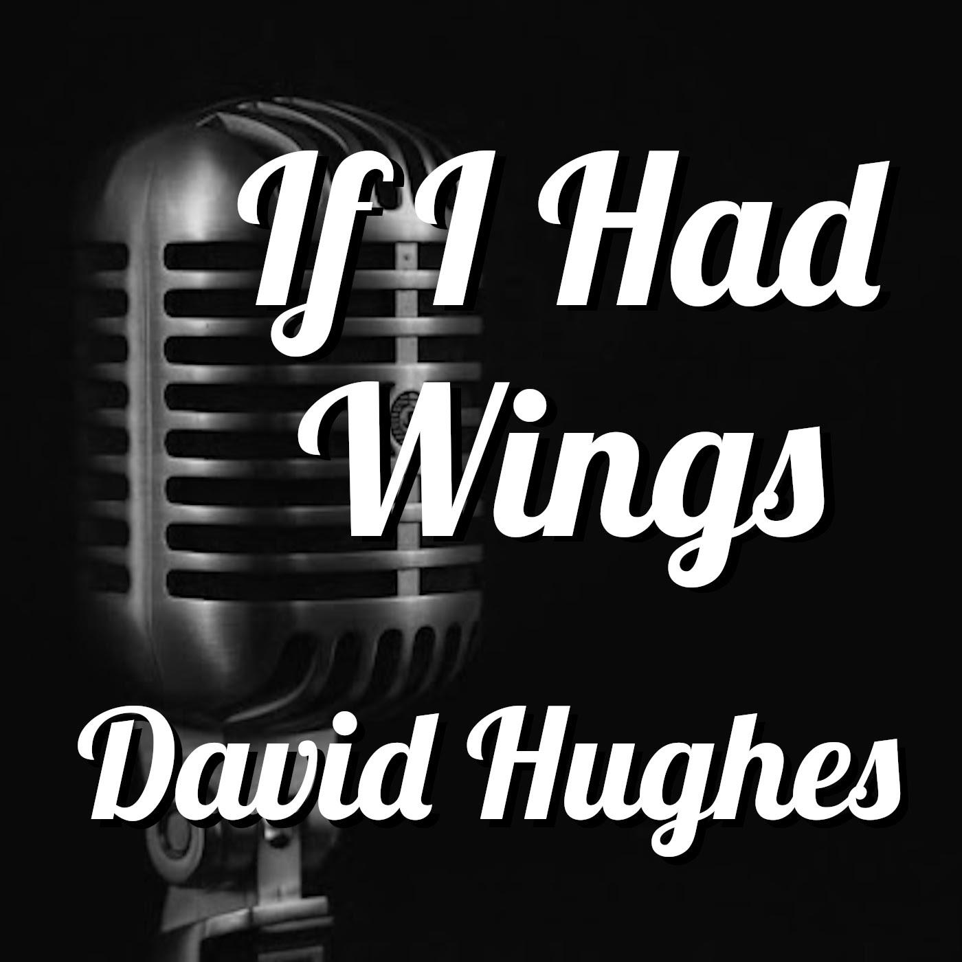 If I Had Wings David Hughes