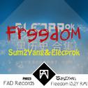 Freedom(Sum2Yang Remix)专辑