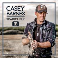 Casey Barnes - Sparks Fly (VS karaoke) 带和声伴奏