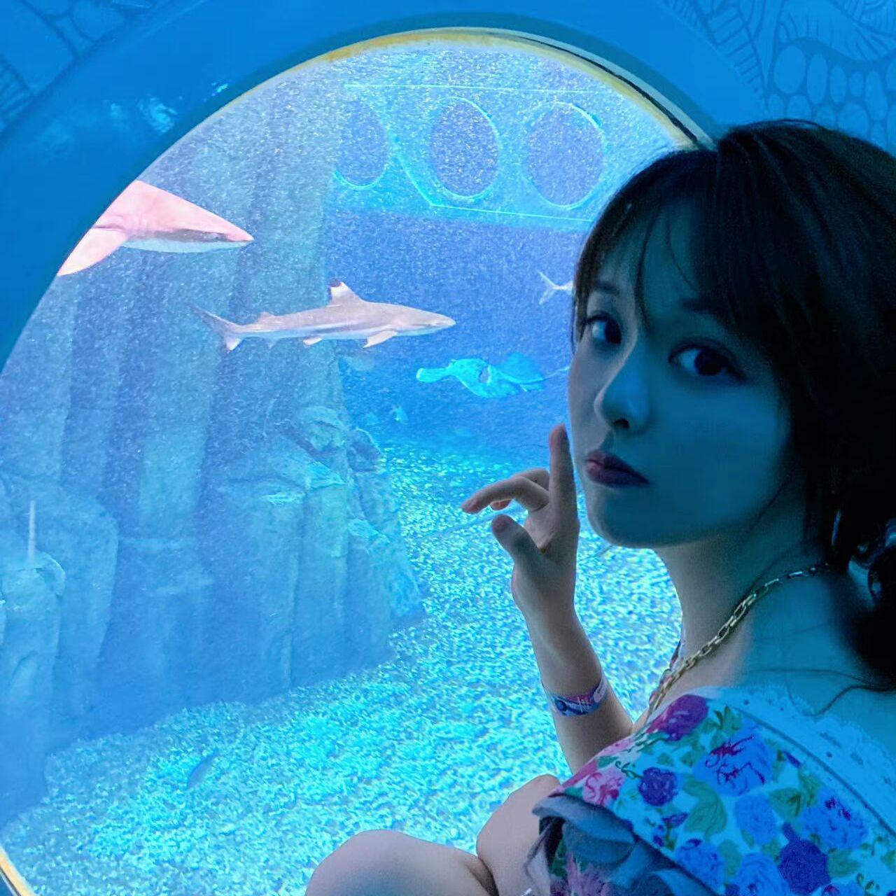 麦浪