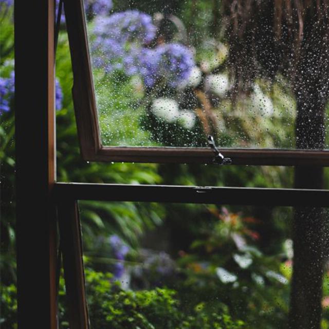 雨