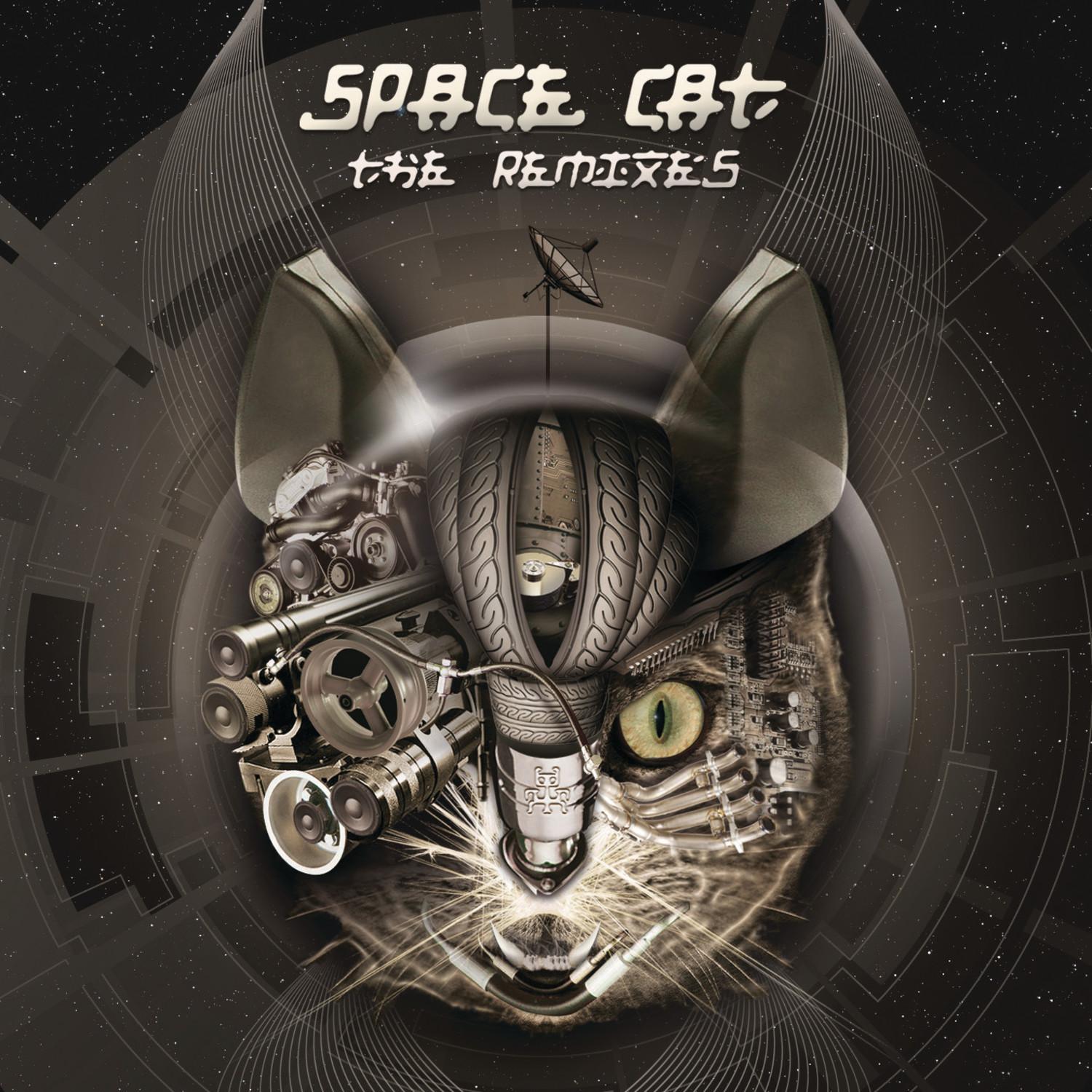 Space Cat - The Remixes