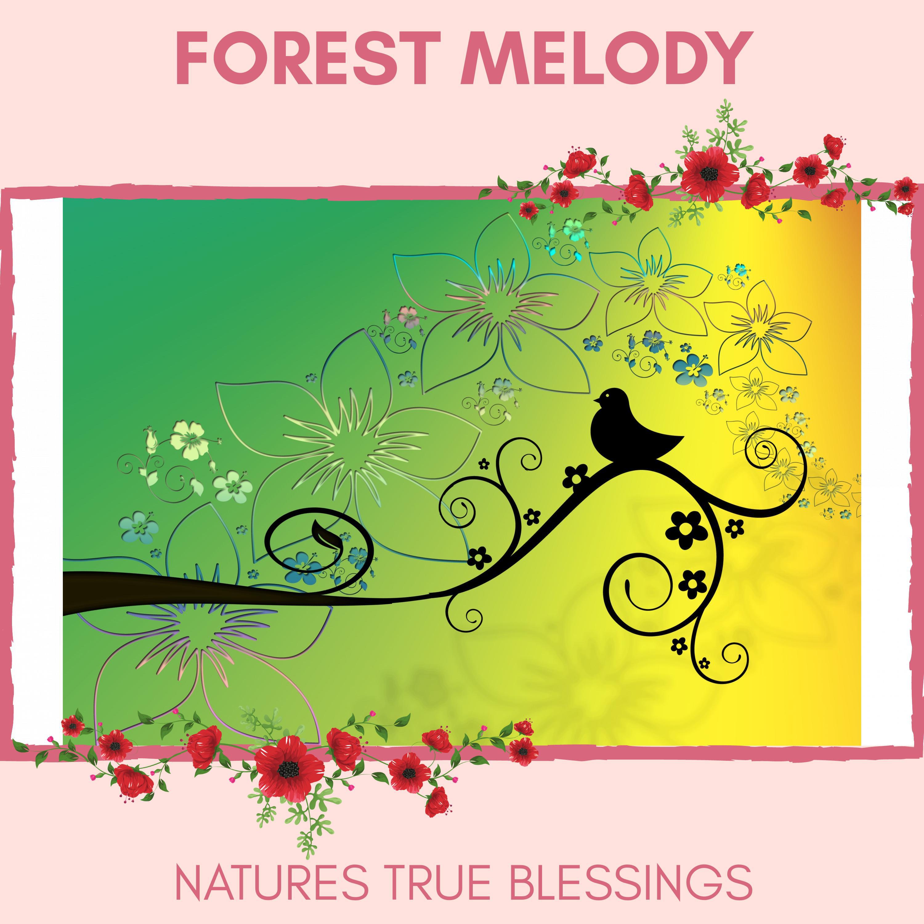 Flora and Fauna Nature Music - Pamper Yourself with the Soft Sounds of Fairy Flycatcher