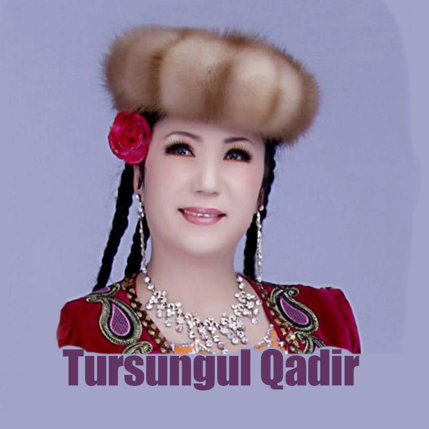 Almichi anar