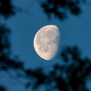 仲夏之夜｜朦胧记忆中微风轻拂的夜晚