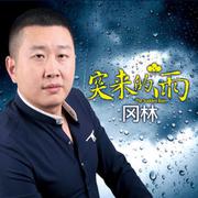 突来的雨 (DJ版)