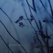 Whispering Meadow