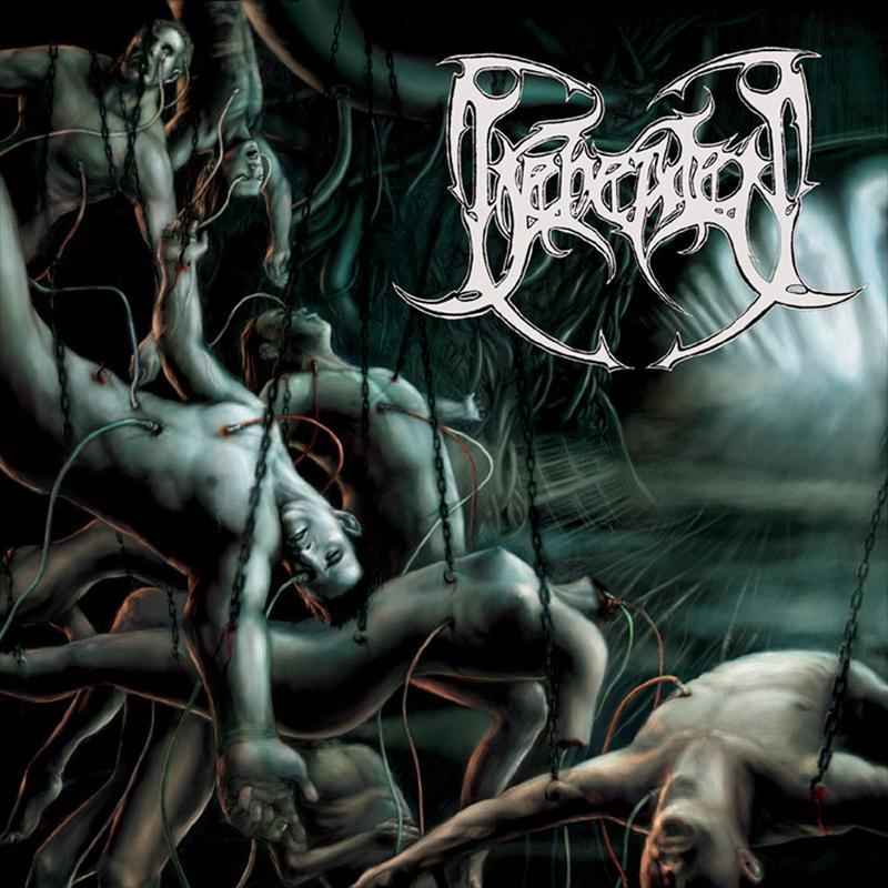 Recounts Of Disembodiment