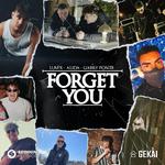 Forget You (with Gabry Ponte)专辑