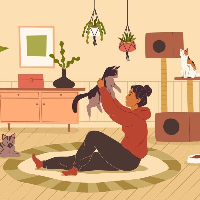 养一只毛茸茸的小猫咪