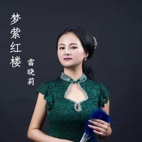 雷晓莉 - 梦萦红楼(原版立体声伴奏)