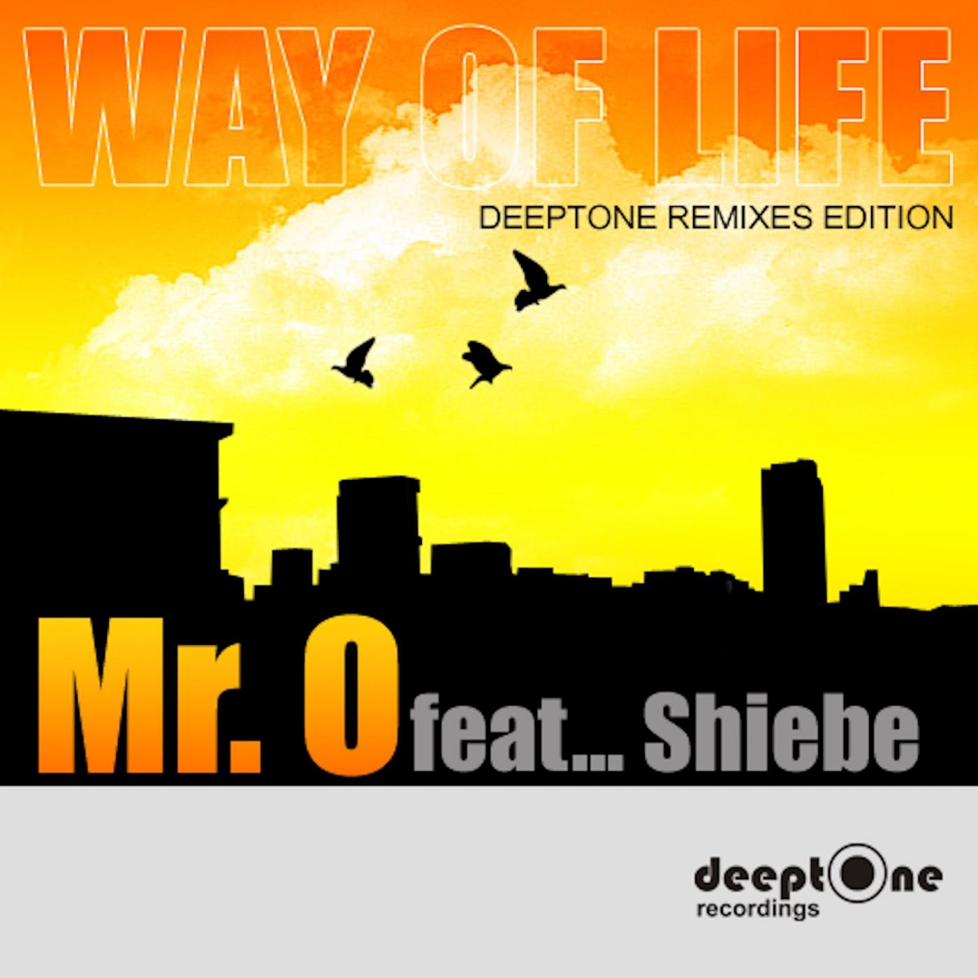 Way Of Life (Deeptone Remix Edition)