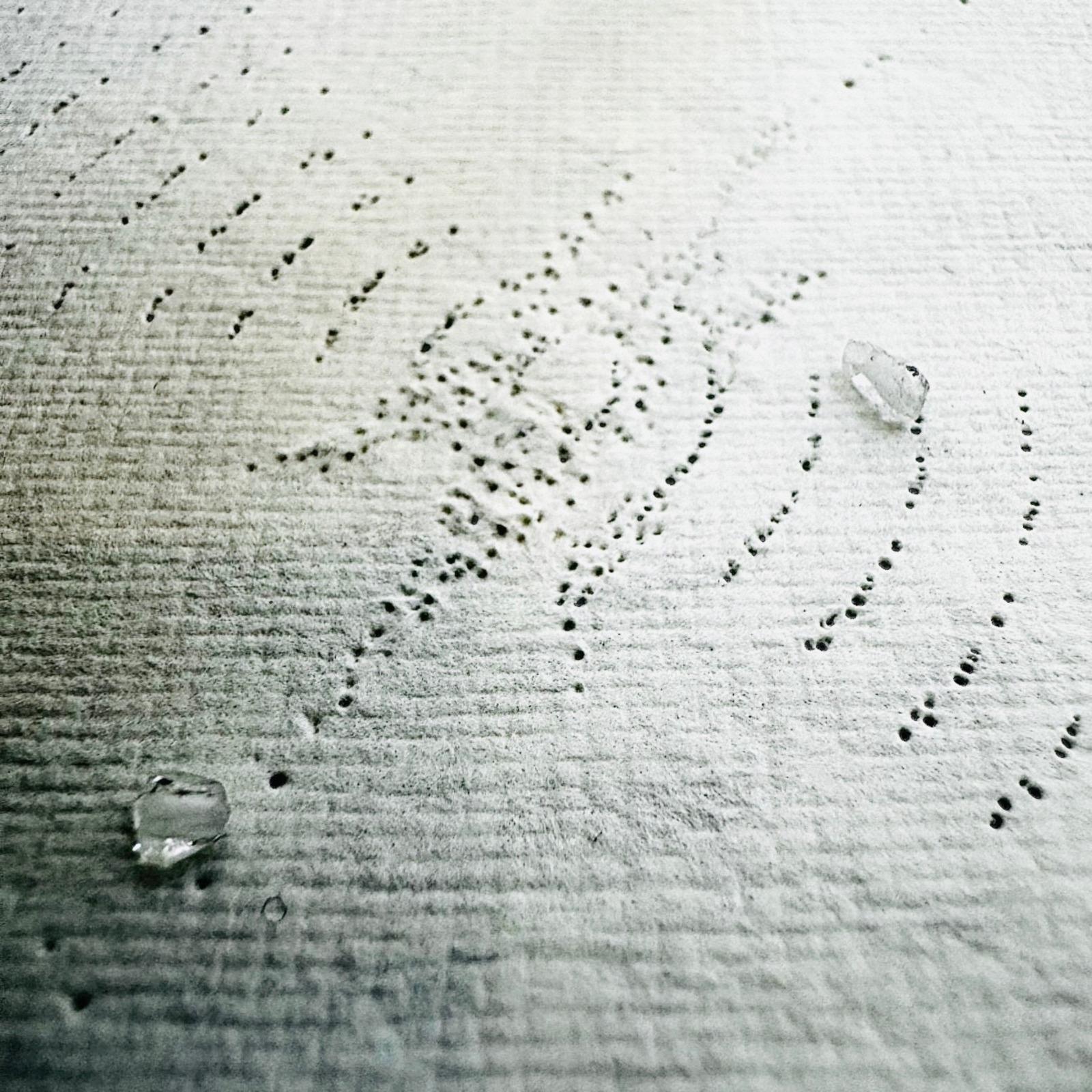 TALISMAN weaving by Mamiko Hirai