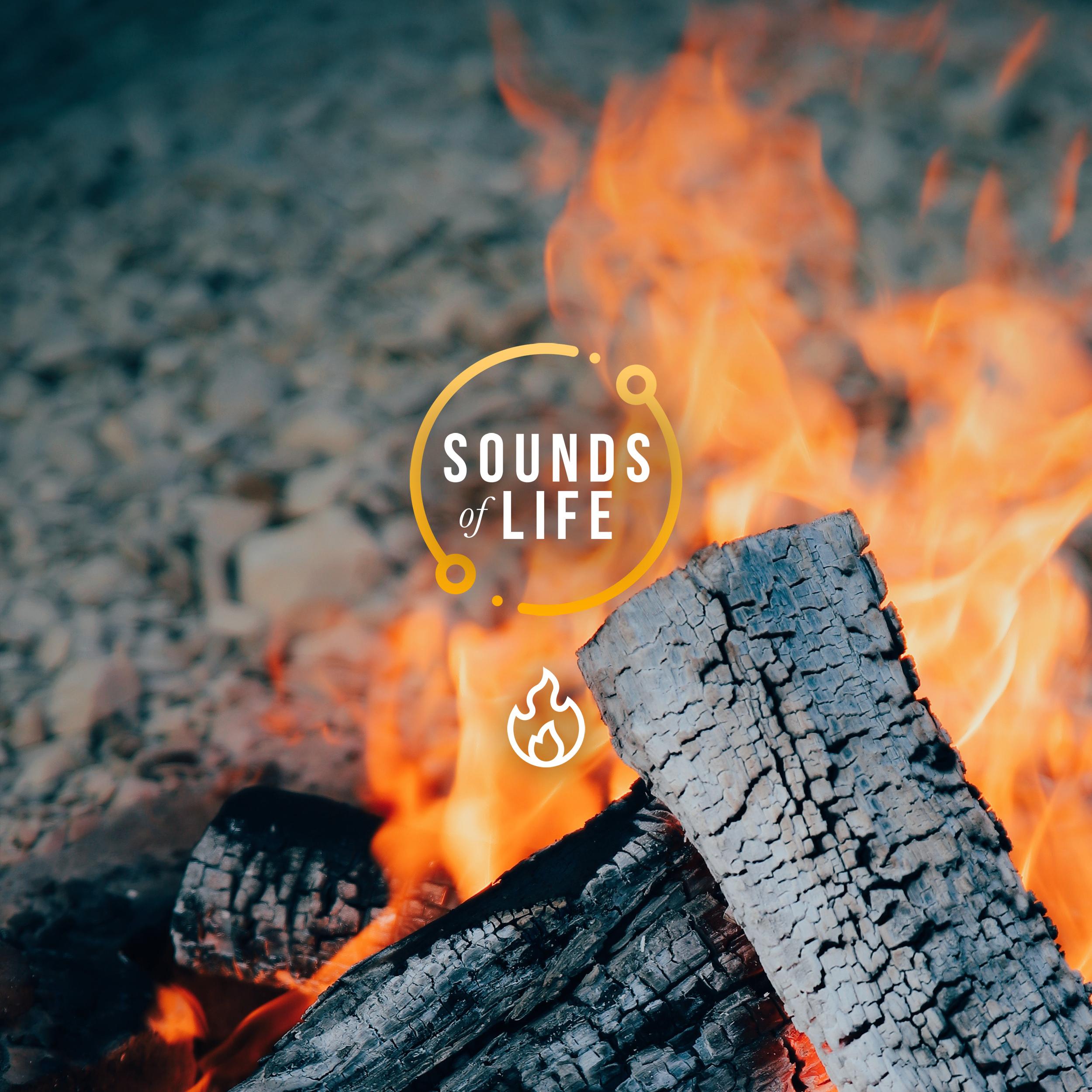 Fire Place (Wet Wood)