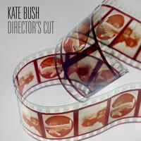 Moments Of Pleasure - Kate Bush