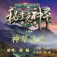 孙楠-神草之恋