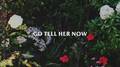 Go Tell Her Now (Acoustic)专辑