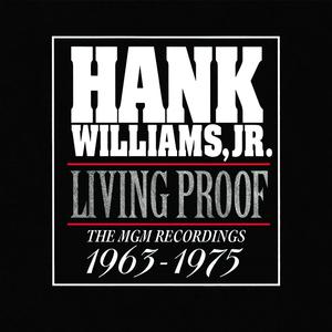 Hank Williams Jr - Country State of Mind (PT karaoke) 带和声伴奏