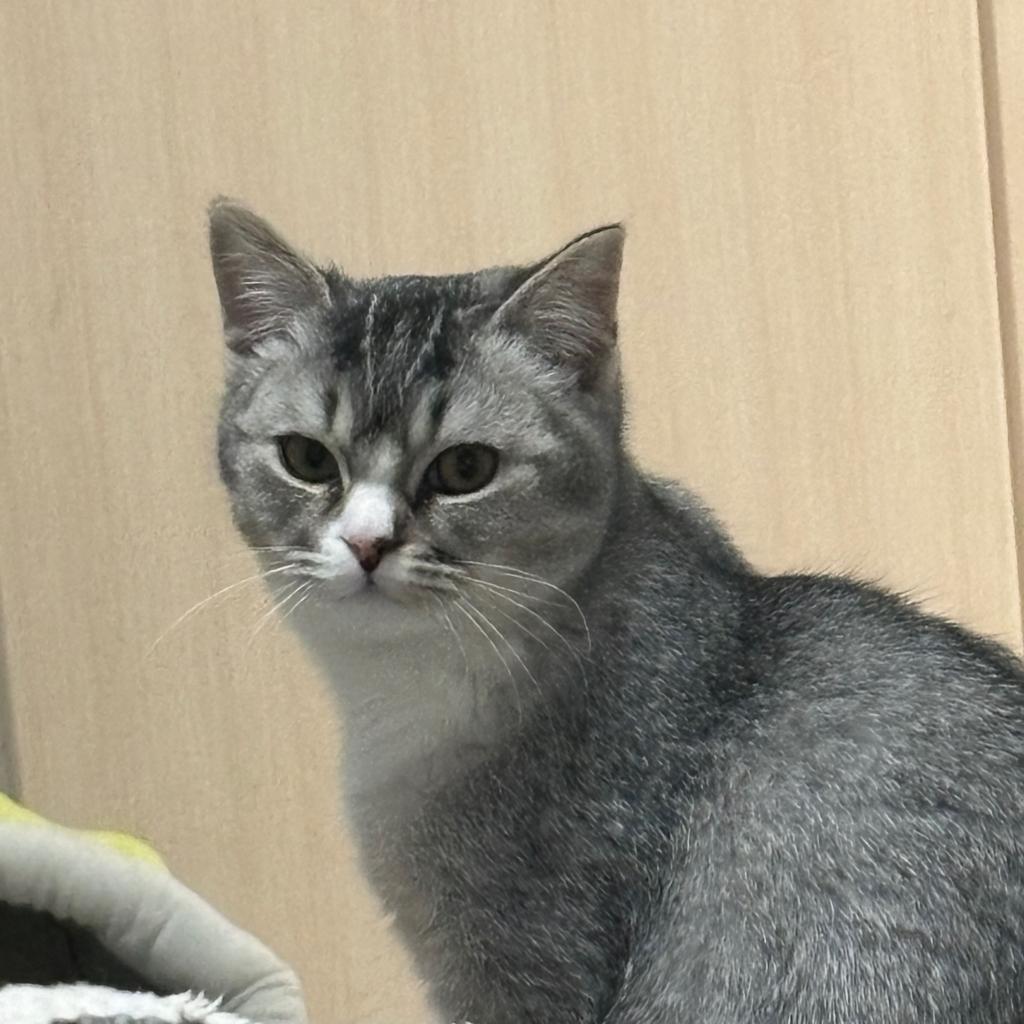 爱里全是难过不是吗