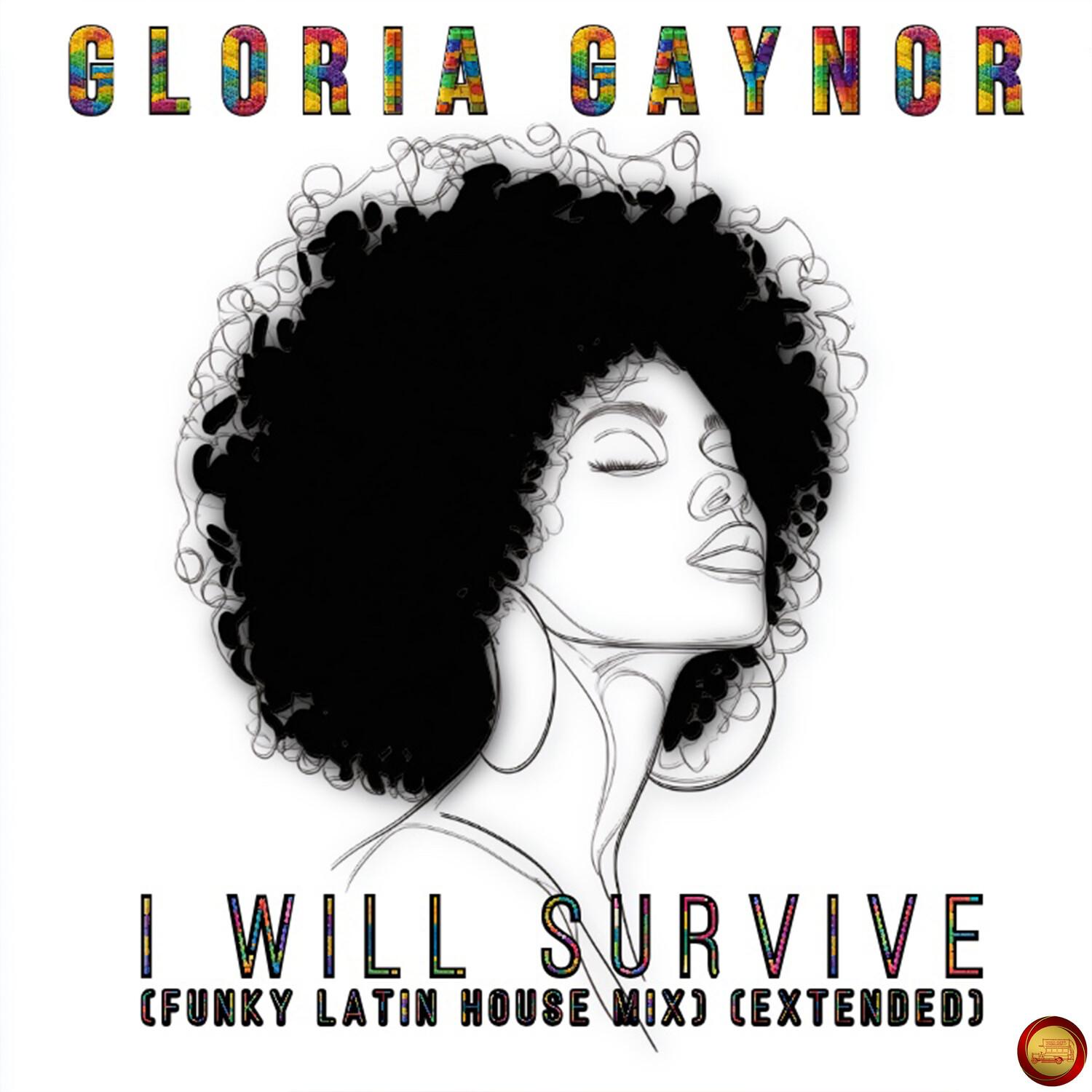 I Will Survive (Funky Latin House Mix) (Extended)