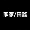 家家/田鑫（2首合作）专辑