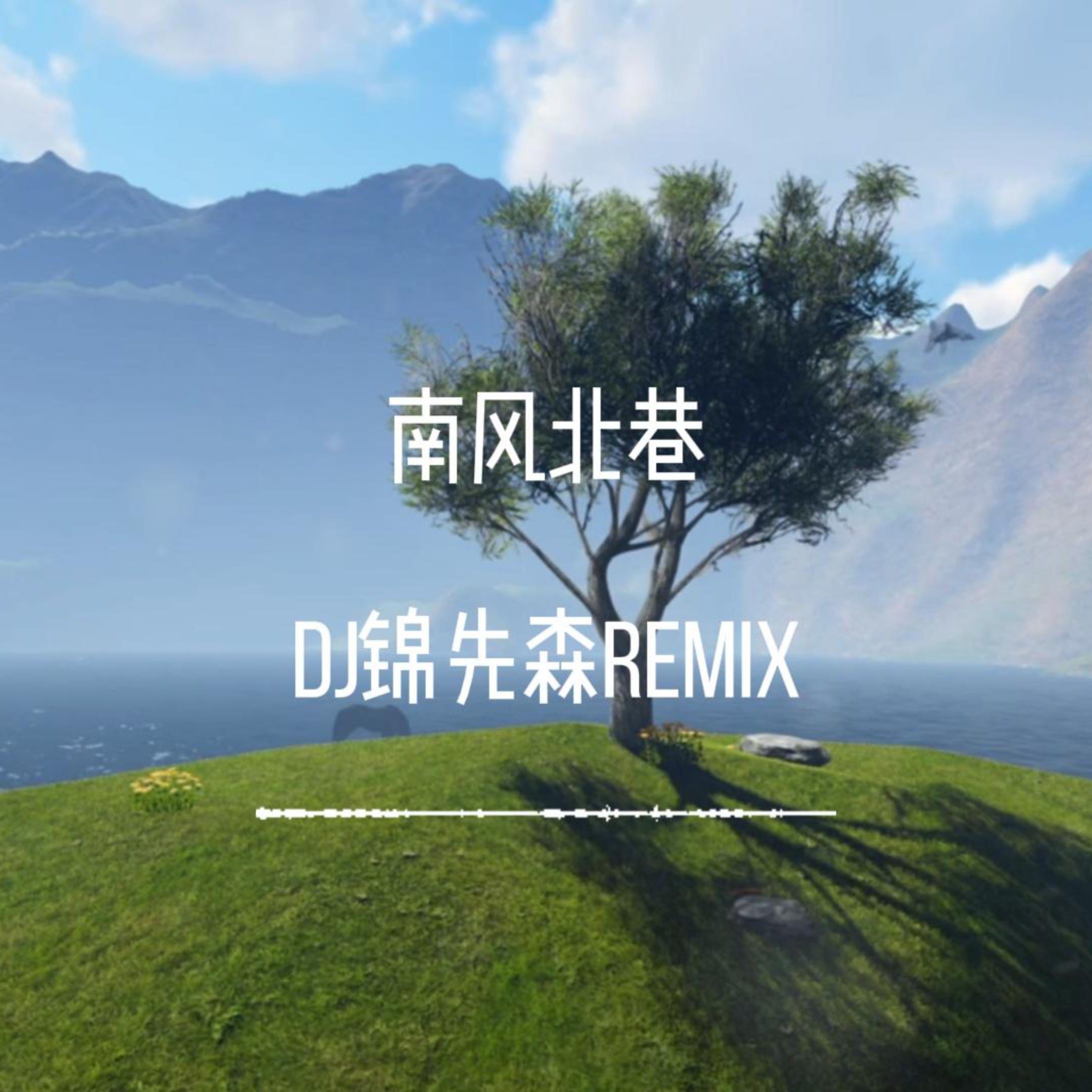 南风北巷（DJ锦先森 Remix）