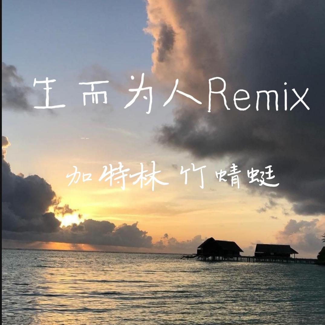 生而为人Remix专辑