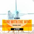 Gone With The Wind (Original Mix)