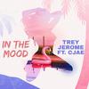 Trey Jerome - In The Mood (feat. Cjae) (Radio Edit)