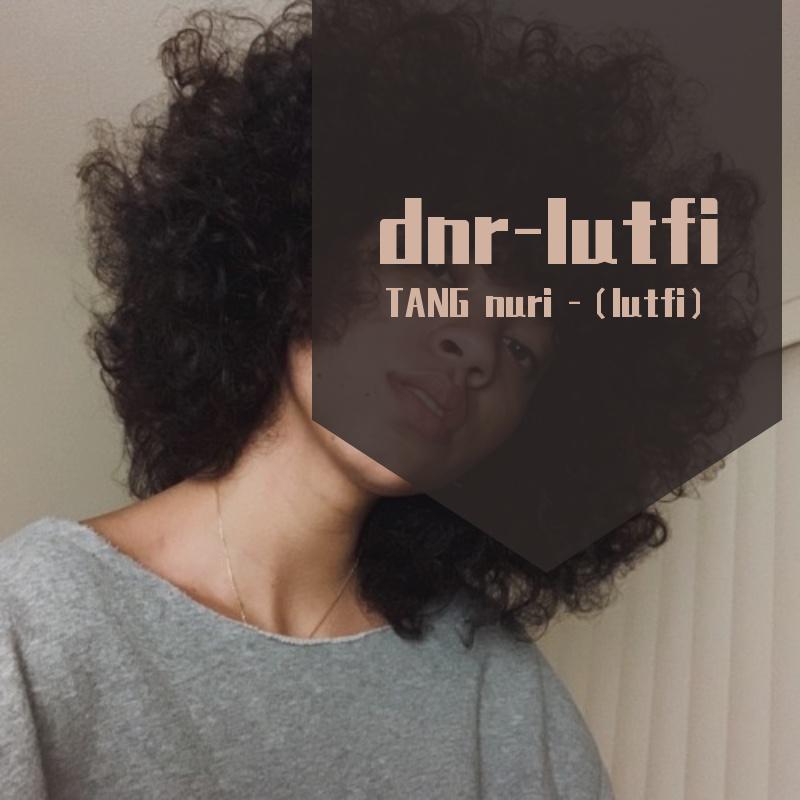 dnr-lutfi（车载）