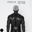 Jungle Fever专辑
