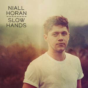 Slow Hands - Niall Horan (PT karaoke) 带和声伴奏 （降8半音）