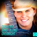 Country Sing - Along Overnight专辑