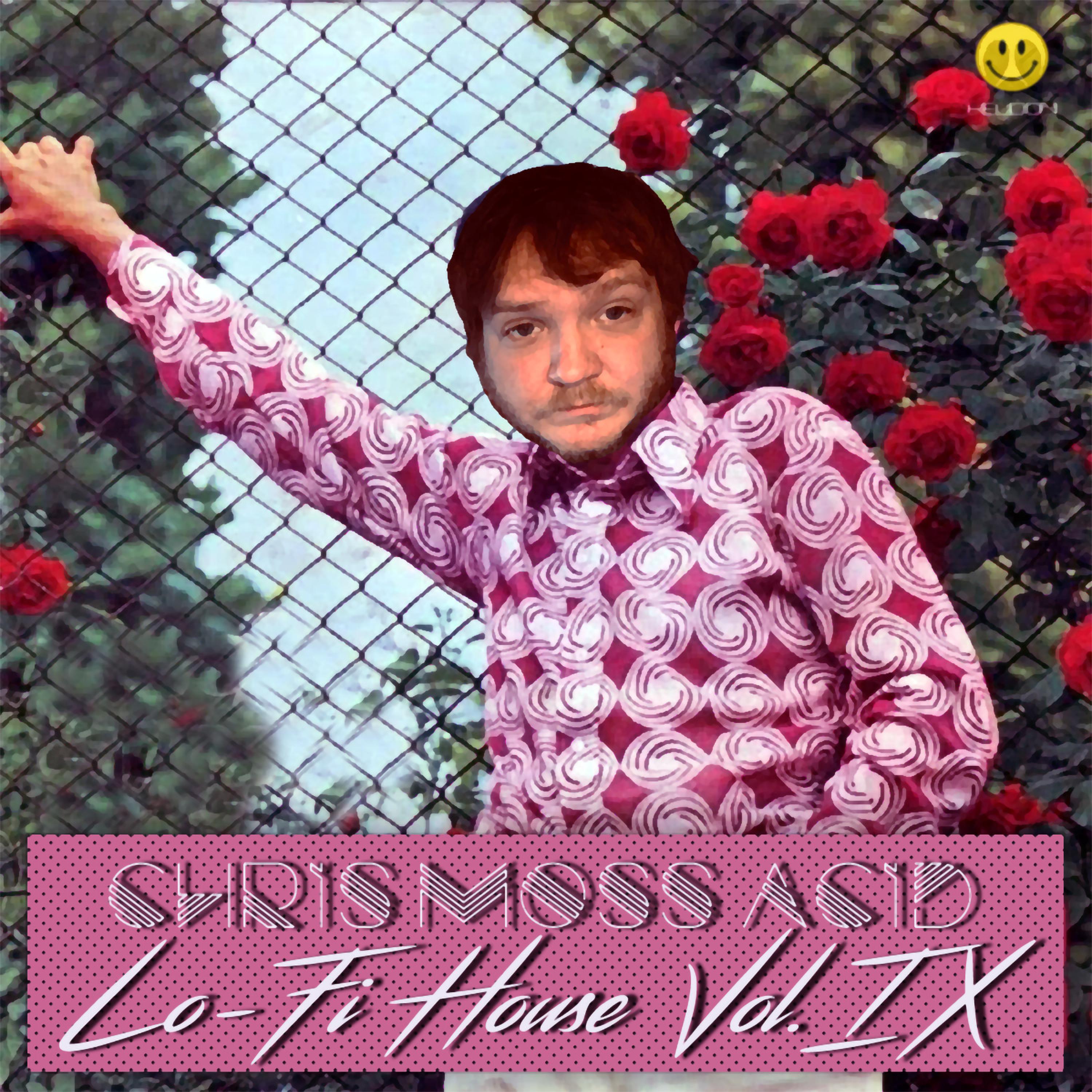 Lo-Fi House Vol.IX