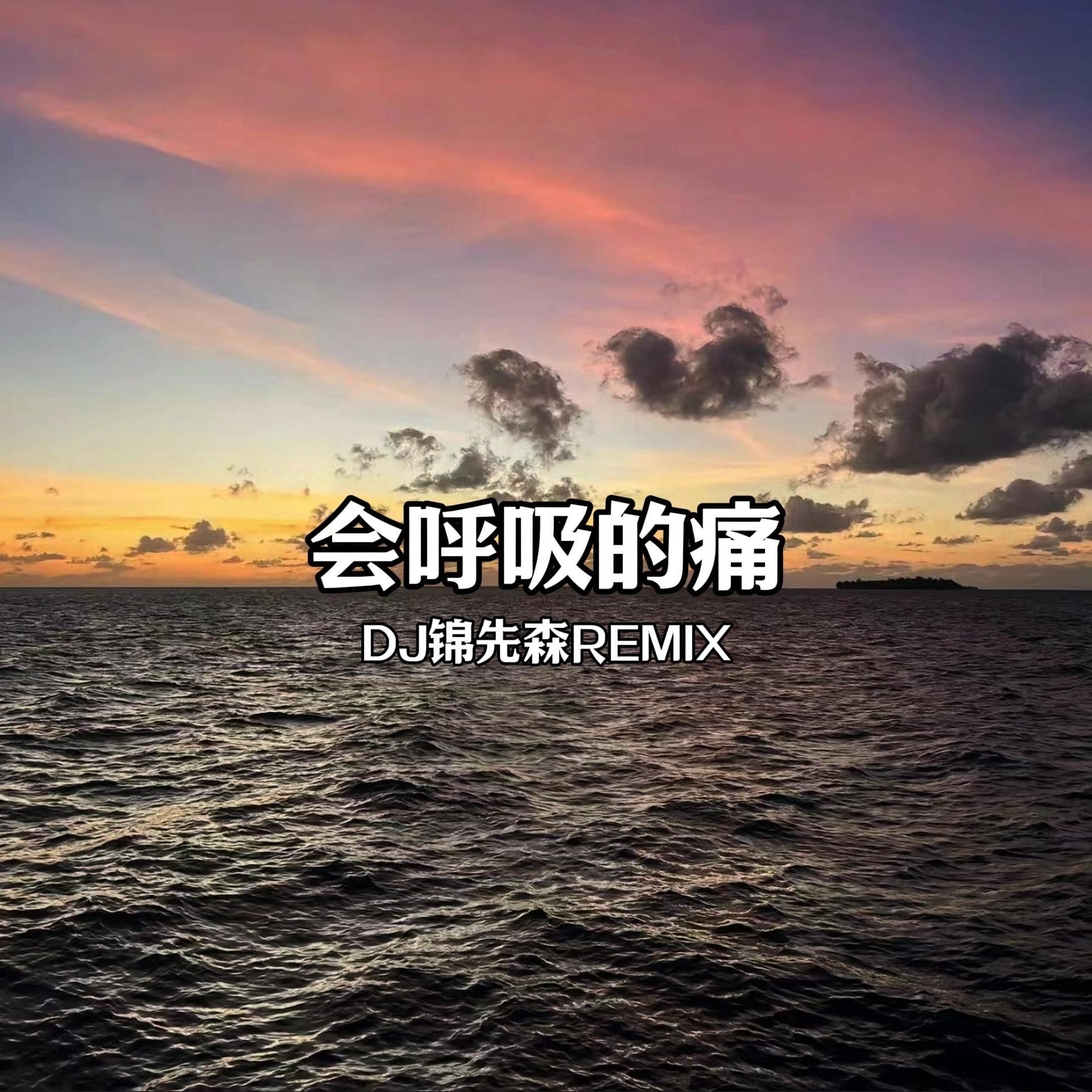 会呼吸的痛（DJ锦先森 Remix）