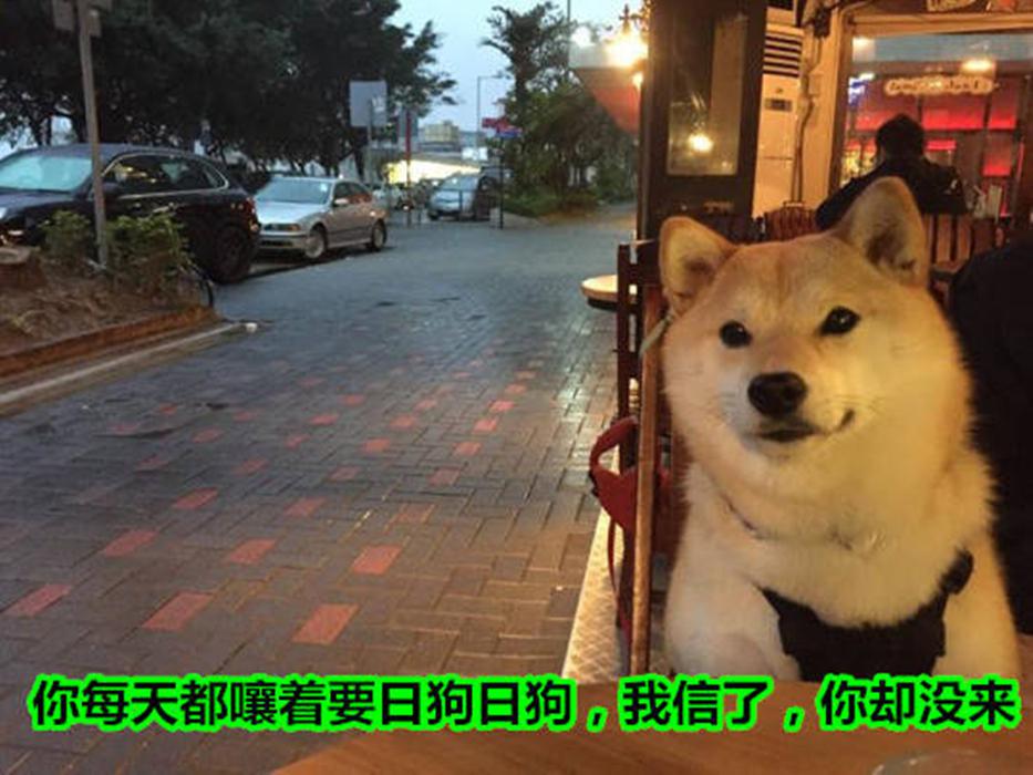 七夕·哎哟单身狗_(:з」∠)_