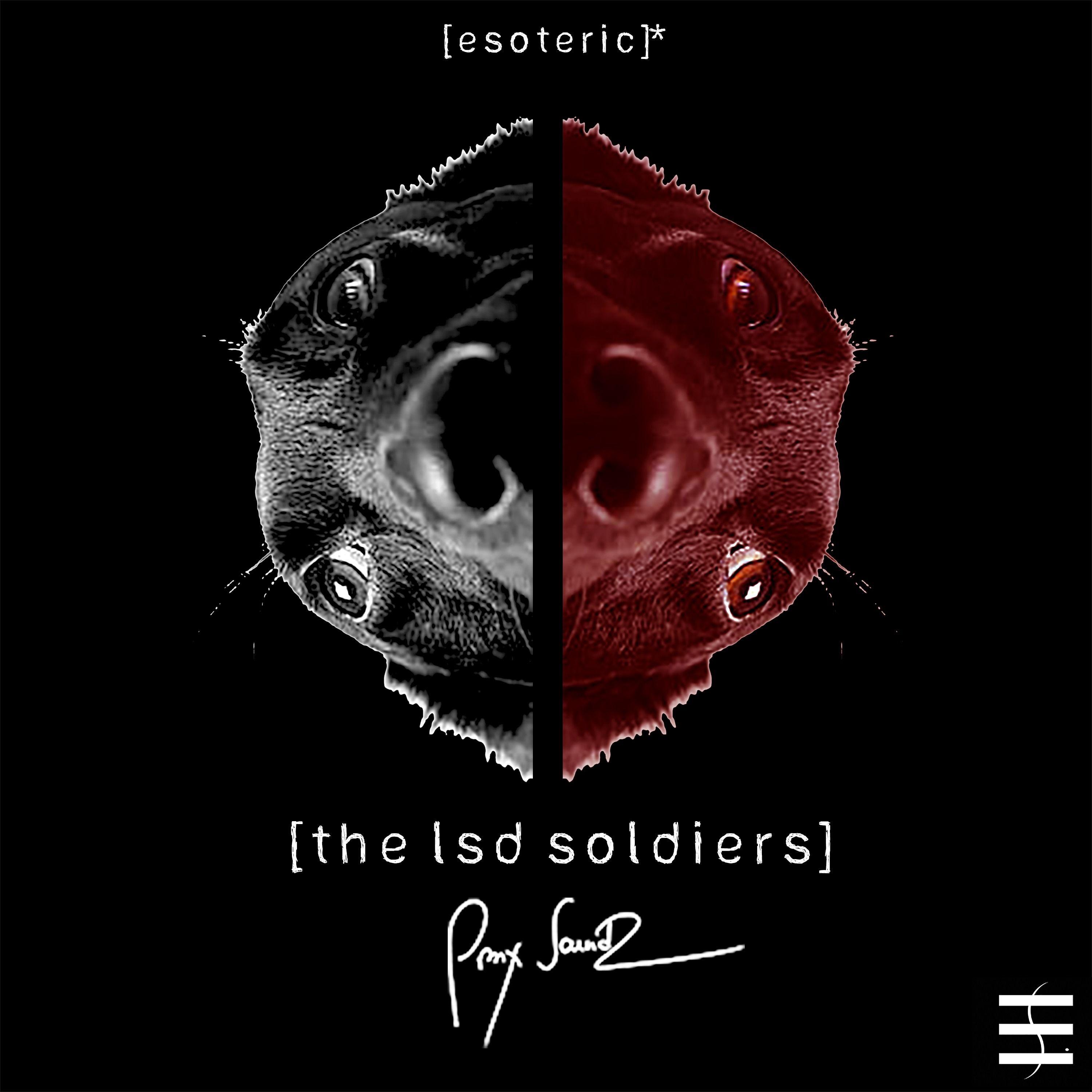 The LSD Soldiers (2021 Edit)