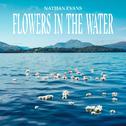 Flowers In The Water专辑