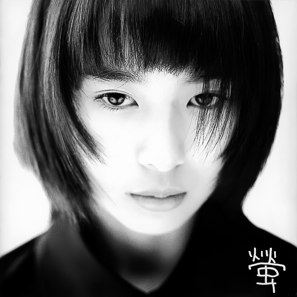 虹～ダンボール