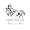 Laid Back专辑