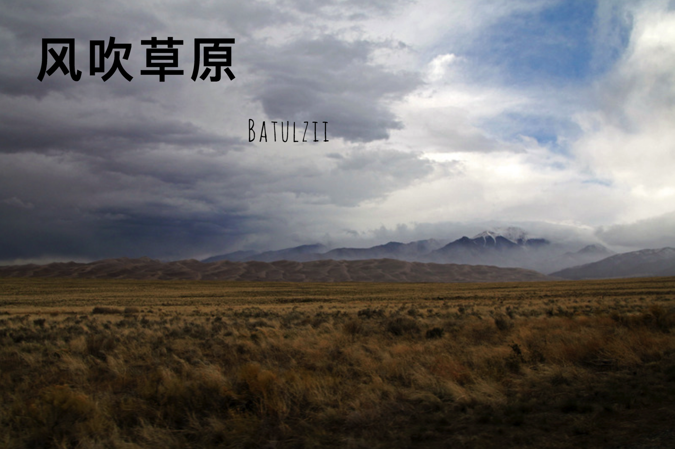 风吹草原专辑