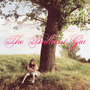 The Brilliant Gia专辑