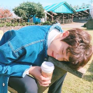 幸福暖阳｜春暖花开，一直走花路吧！