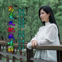 倪尔萍 - 为爱又把我喝醉 (伴奏)