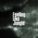 Feeling Like Jungle专辑