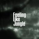 Feeling Like Jungle专辑