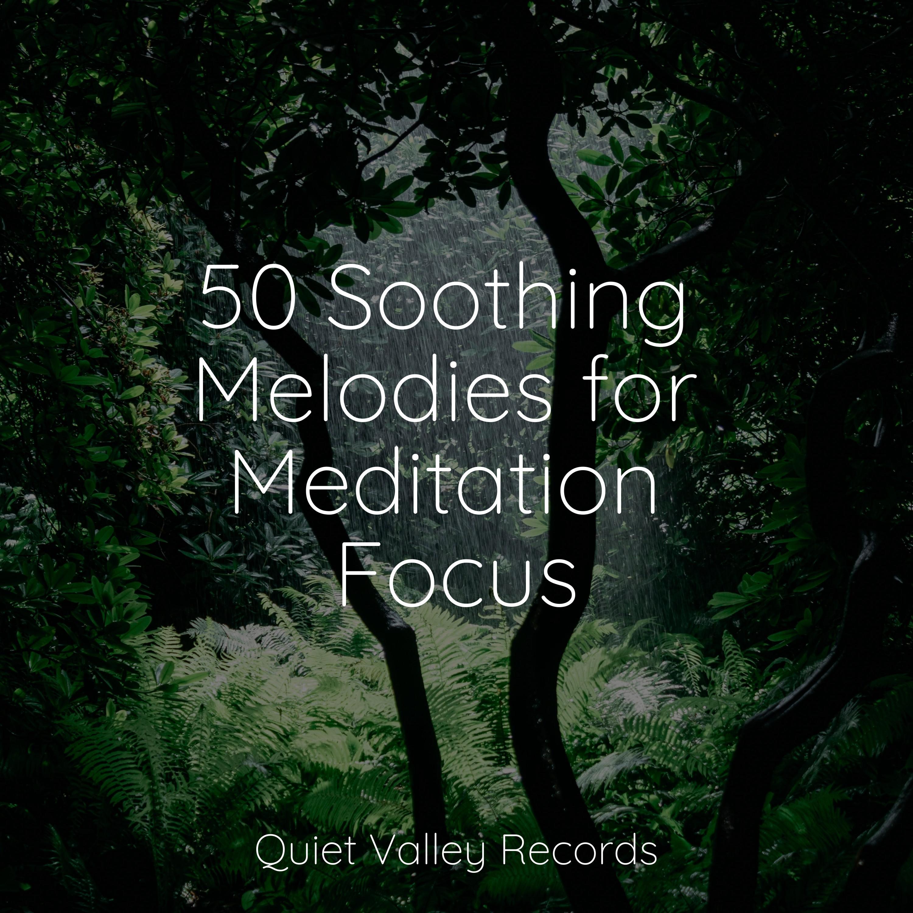Zen Meditate - Susurrations