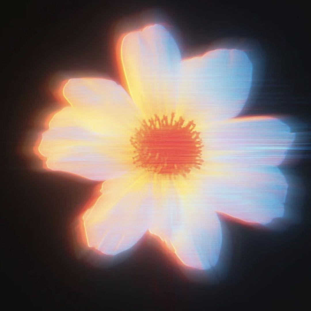 ✿