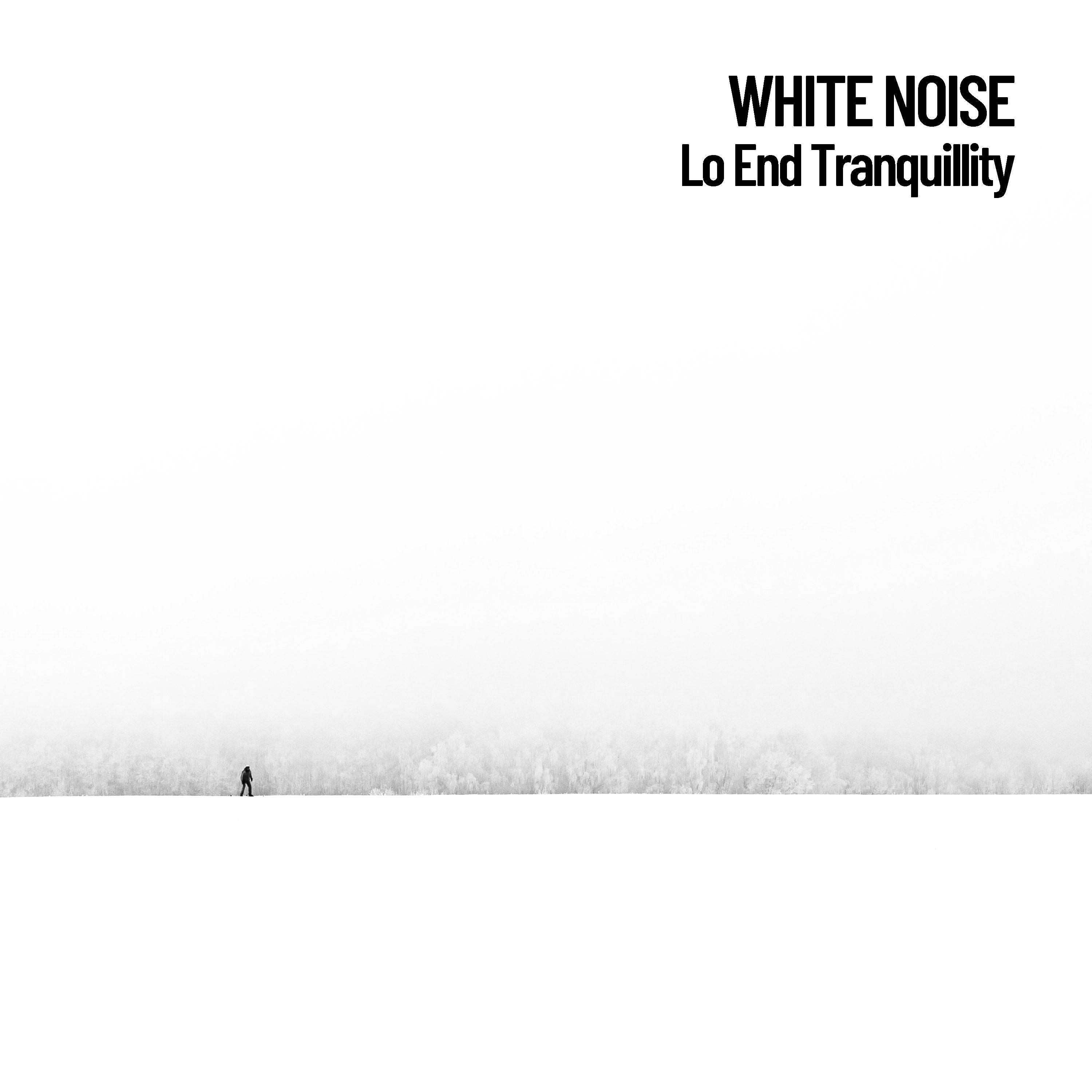 White Noise: Lo End Tranquillity